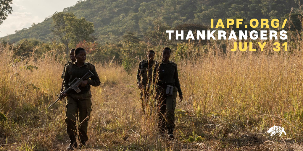 We want rangers to know: We honor you. We admire you. We thank you.
 
Now you have the opportunity to thank Wildlife Rangers too: iapf.org/ThankRangers

#WorldRangerDay
Photo by <a href="/JereHietala/">Jere Hietala</a>