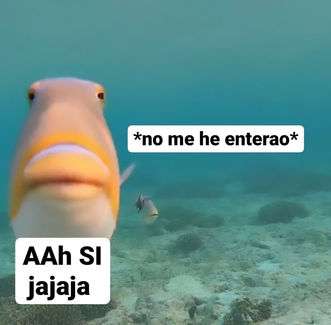 kiereme's tweet photo. alguien hablándome:

yo: https://t.co/JVzZWBIQRk