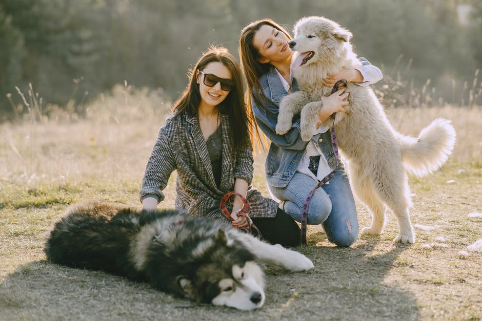 Listing2Leasing's tweet photo. Spend more time with your loved ones. Get started with our online credit check and tenant screening platform in under 2 minutes. Set it and forget it. #eSign
#CreditCheck #TenantScreening https://t.co/cqqDKoeEAE