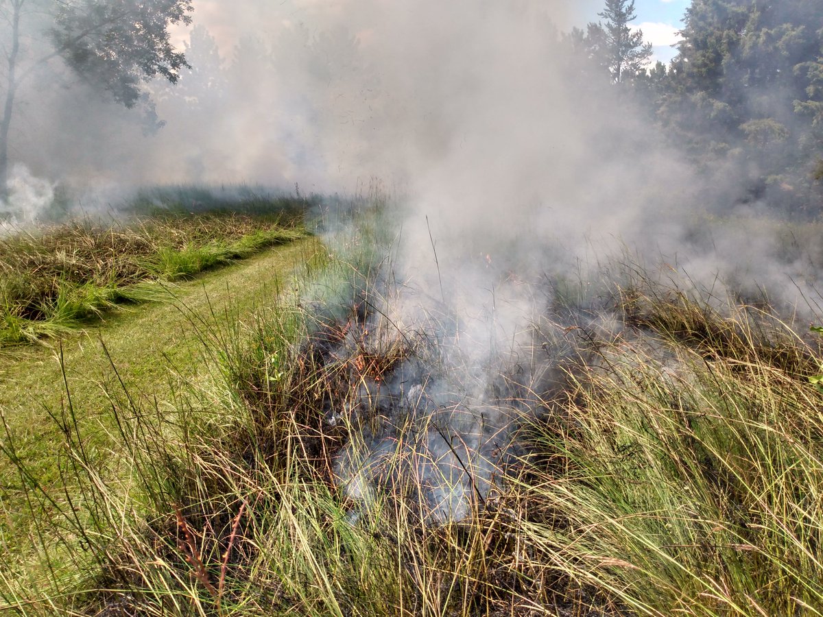 BemidjiFire's tweet photo. We assisted ISD 31 with a prescribed prairie fire today at Horace May Elementary School. https://t.co/Gwh2a70yN3