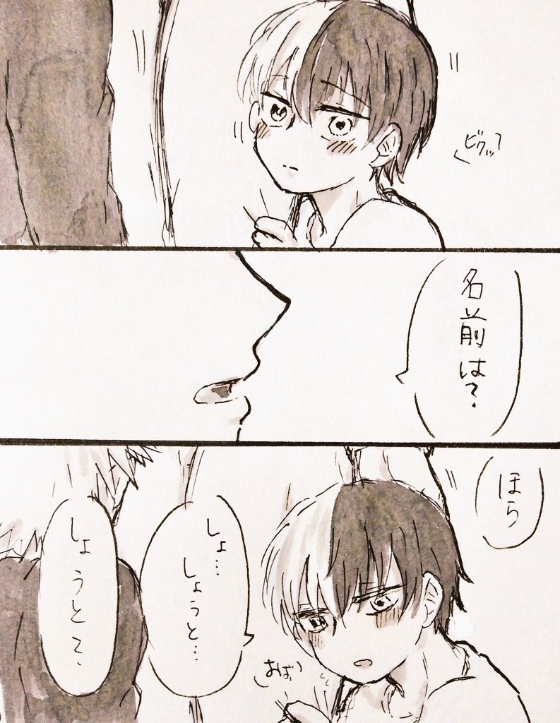 ※キャラ崩壊/年齢操作(しょた)⚠

一目惚れる(爆轟)
お題箱より『歳の差??の突っ込んだ話(ダブルミーニング)』
何描けばいいのかわからなくなって最終的に馴れ初め話になりました、すみません、お題の歳の差がこのシリーズじゃなかったらすみません
お題ありがとうございました! 