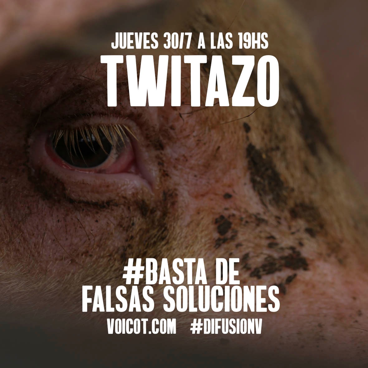 trtjr44's tweet photo. @felipe_sola @cancilleriaARG Exigimos una transición urgente a un sistema agroecológico que ponga énfasis en la #soberaniaAlimentaria y no en la generación de divisas y commodities como el sistema agroindustrial actual. #BASTADEFALSASSOLUCIONES https://t.co/Vrr4ozWIO1