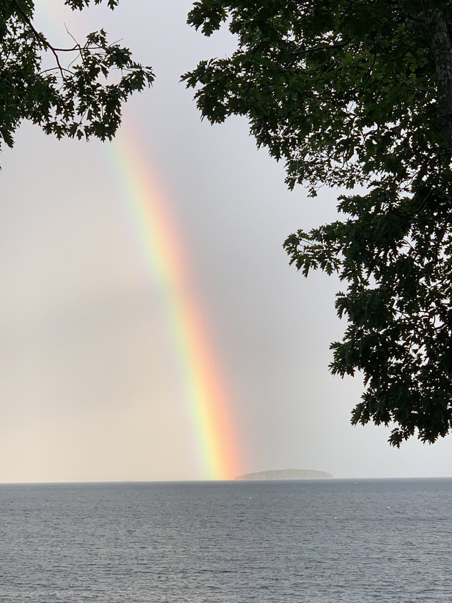 tessgerritsen's tweet photo. Most brilliant rainbow I’ve ever seen. Right off my backyard. https://t.co/sxg6bjUfuw