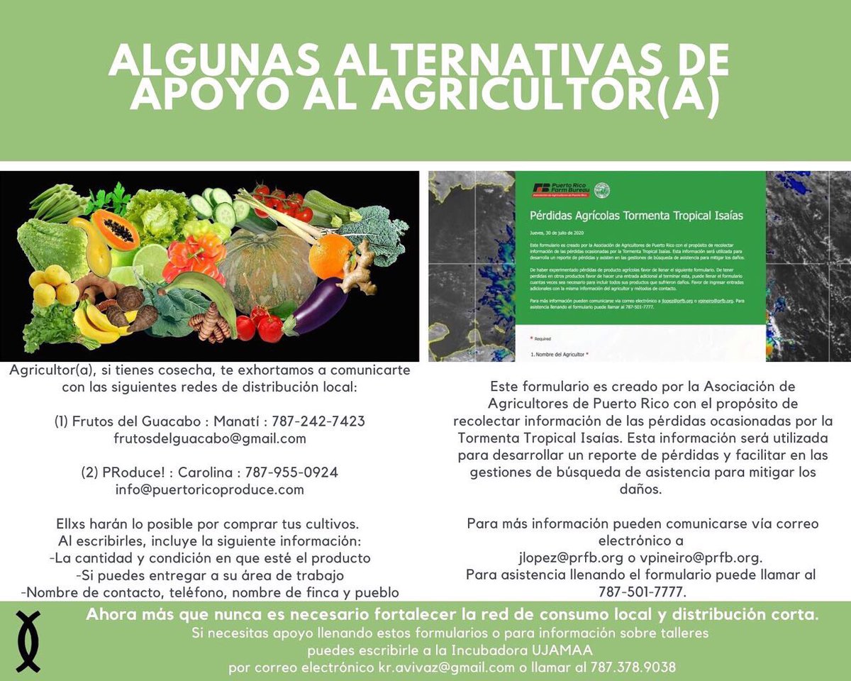 orgboricua's tweet photo. Algunas alternativas de Apoyo a Agricultorxs tras paso de tormenta Isaías

A continuación compartimos algunas alternativas de apoyo para agricultorxs y les exhortamos a todxs a compartir cualquier otra que conozcan en la sección de comentarios. https://t.co/KRUDPYkHce
