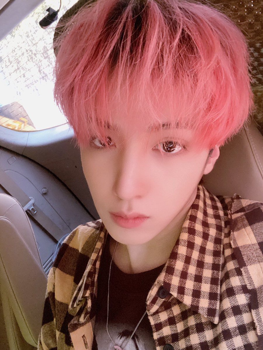 queroseuku999's tweet photo. ໒᭬᭫ 🥀  [２５] – bi bi bi bi ੈ‧₊ https://t.co/Krq17K4GdZ