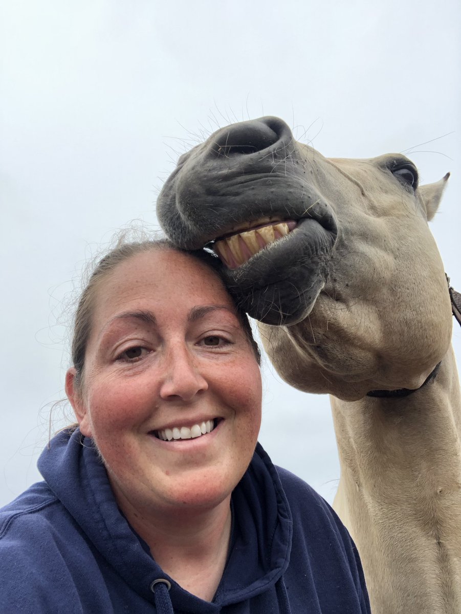 LaversDominique's tweet image. Horse teeth smiles on a grey foggy day! #colgatesmile #saycheese #horse #petsofMUN