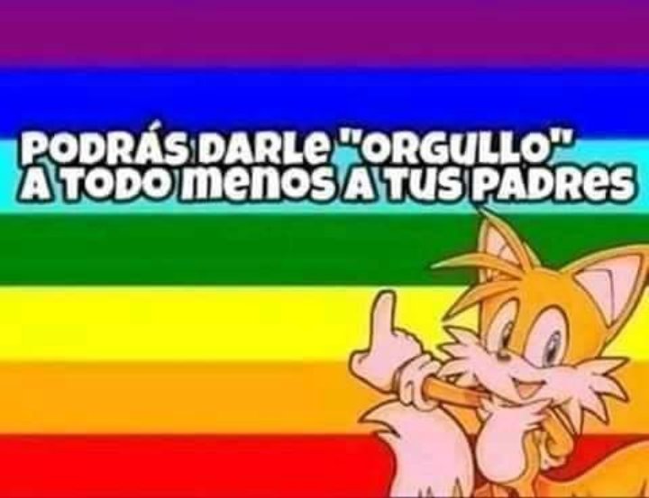 MichaBeherens's tweet image. 