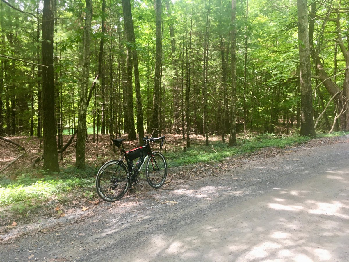 ForgeAdvisory's tweet photo. With the pros back on the road at @StradeBianche this weekend, a couple of kms on the #gravel felt right today. The  @rapha frame bag helped carry some fuel for getting to the century! 

#TeamForge #Forge #ForgeAdvisory #raphacustom #unforgivingminute #rule5 #Cervelo #CerveloR3 https://t.co/gOVjXdoCJ1