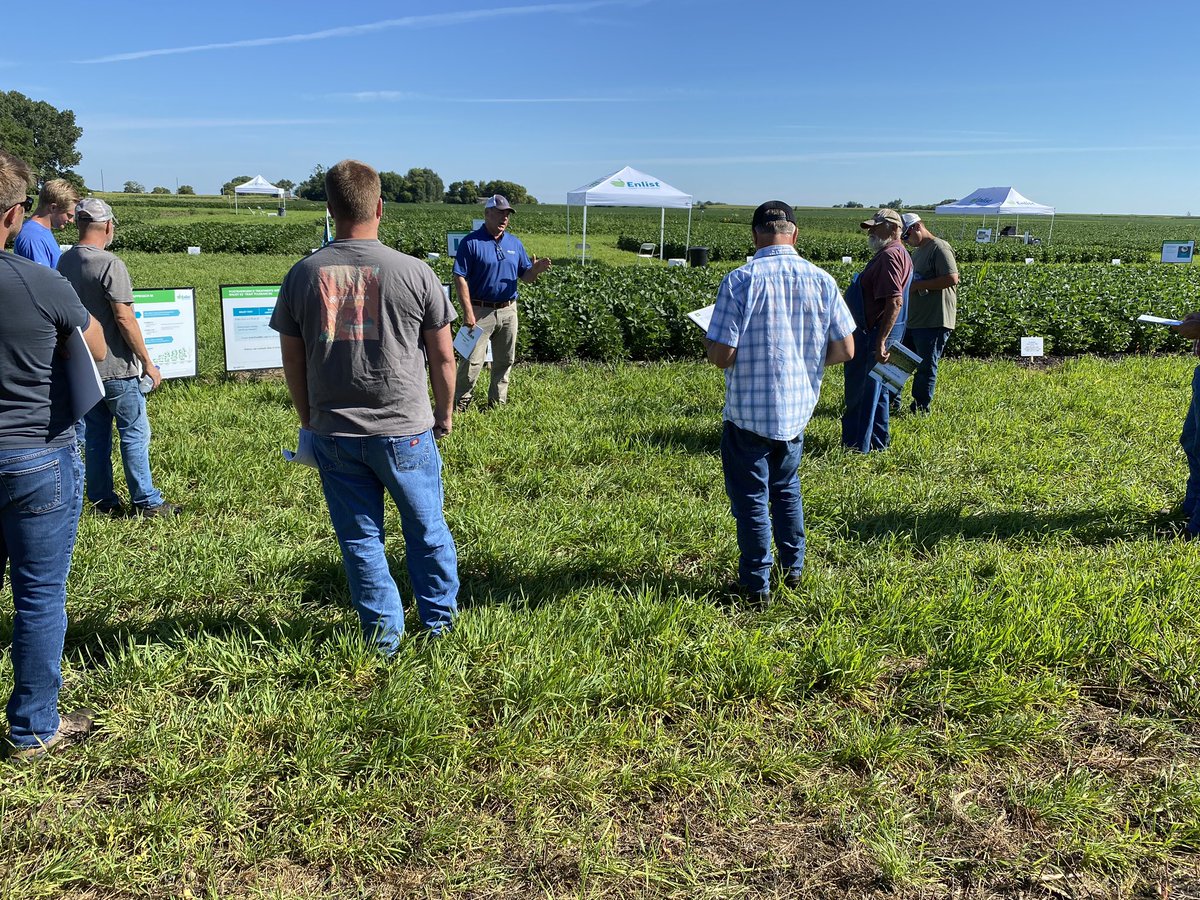 Aricka Wech tweet media