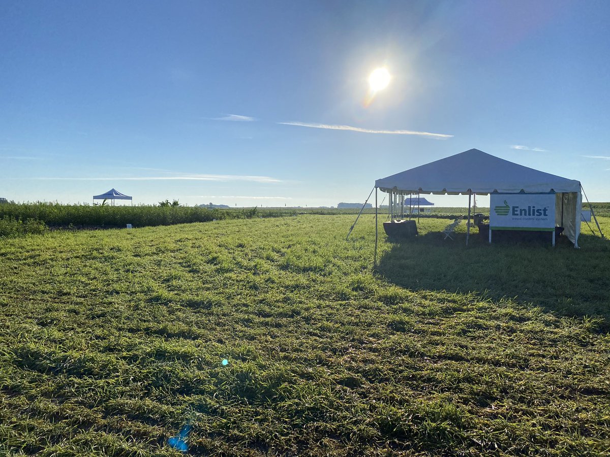 Aricka Wech tweet media