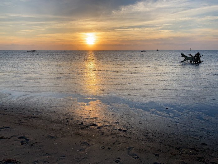 OBXPhotos's tweet image. Just enjoying the view....good night from the Outer Banks! #obx #outerbanks #obxphotos #visitnc #saltlife