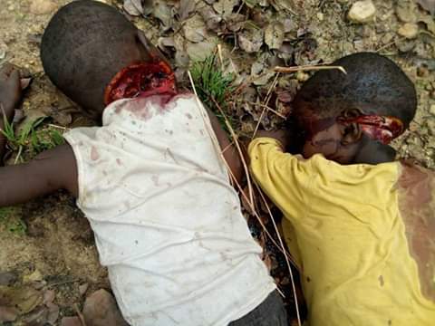 B_in_Dk's tweet photo. Already, results of newly released bloodthirsty #BH terrorists by their sponsors & so-called 'government' has started showing!
One of them just slaughtered his father.
Multiple bomb blasts hits #Maiduguri, many dead
#ArrestTerroristBuhari
#ArrestTerroristElRufai
#EndFulanisation https://t.co/k0OucskK6l