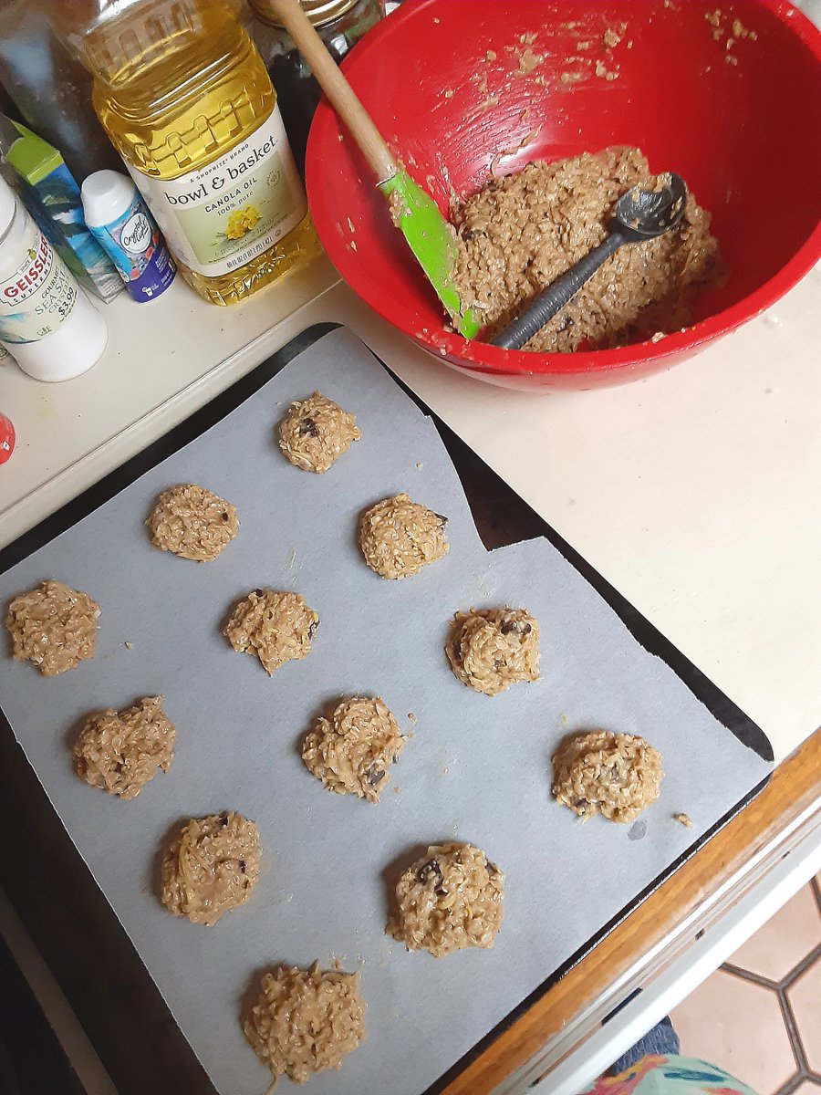 TheTickleFox's tweet photo. Also made these #summersquash #oatmeal #cookies... yes, it's #awashinsquash season with the farm produce. But these were actually pretty good, not cloyingly sweet and durable. (I sent a bunch to the boyfriend). Made with #vegan #chocolate pieces and #coconut #baking https://t.co/EQsJKKcUOV