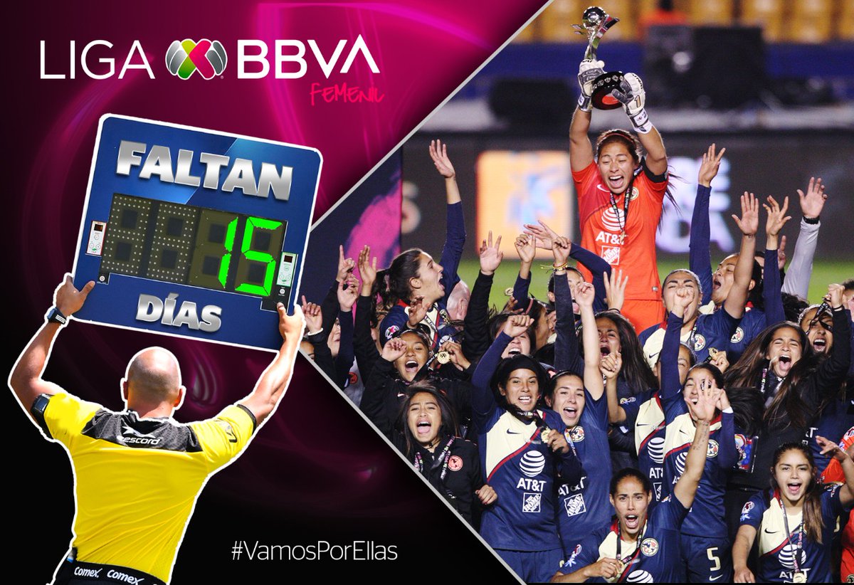 LigaBBVAFemenil's tweet photo. ¡¡ESTAMOS A 15 DÍAS!! 😍😍👏🏽
15 de diciembre de 2018...
Se jugó la Vuelta de la Gran Final del #AP2018 entre @TigresFemenil 🐯 y @AmericaFemenil 🦅, duelo donde las Águilas se coronaron Campeonas de la #LigaBBVAMXFemenil 😎🔝
#VamosPorEllas ⚽🎀 https://t.co/G8LuZyuhHX