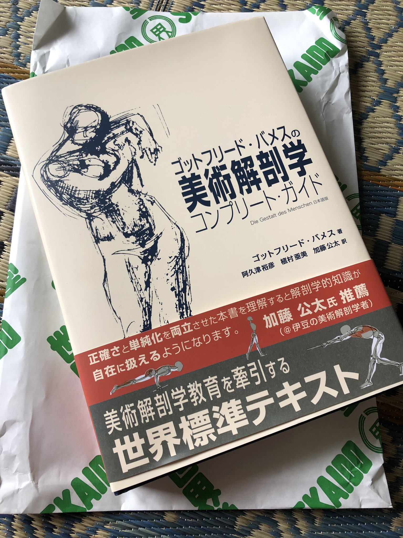 ゴットフリードバメスの美術解剖学 - 文学/小説 ゴットフリードバメスの美術解剖学 - 文学/小説