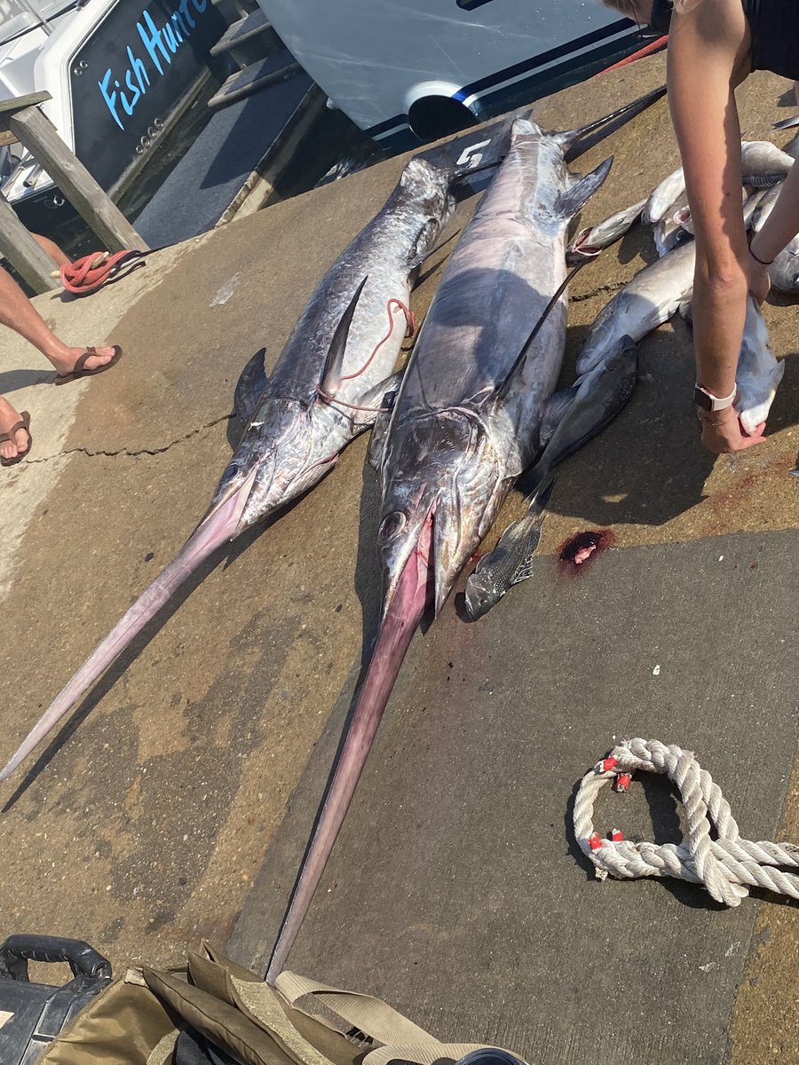 ShreddaSosa's tweet photo. Some action today outside of the #VBTT. 

Two Swordfish, one citation. 
Two King Mackerel, both citations. 

Pretty sick. 🤙🏾 https://t.co/9APFDh4lgc