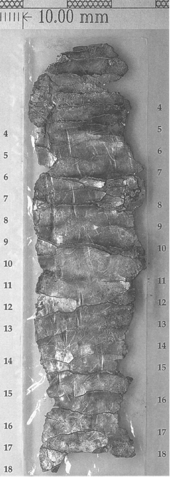 Some of our earliest evidence of Jewish piety, and texts that overlap with the bible, includes amulets. Most famously, two amulets dated to the first half of the first Millennium BCE include texts that are unmistakably similar to the "priestly blessing" in Numbers 6:23-27. 3/28