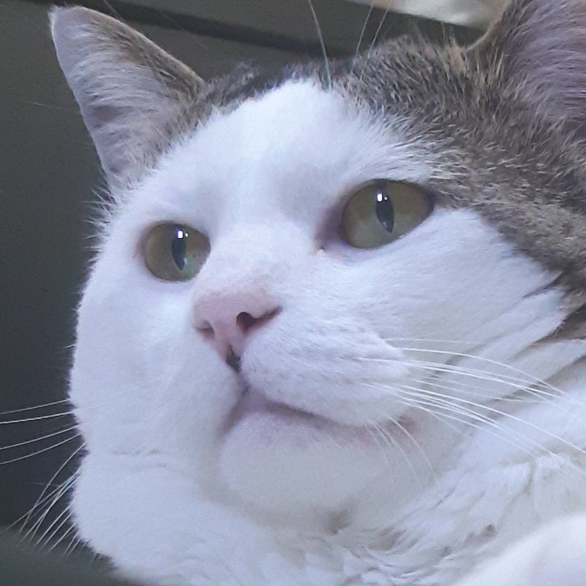 사랑해 빵실빵실😌💖