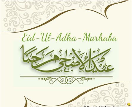 Islam Forever tweet media