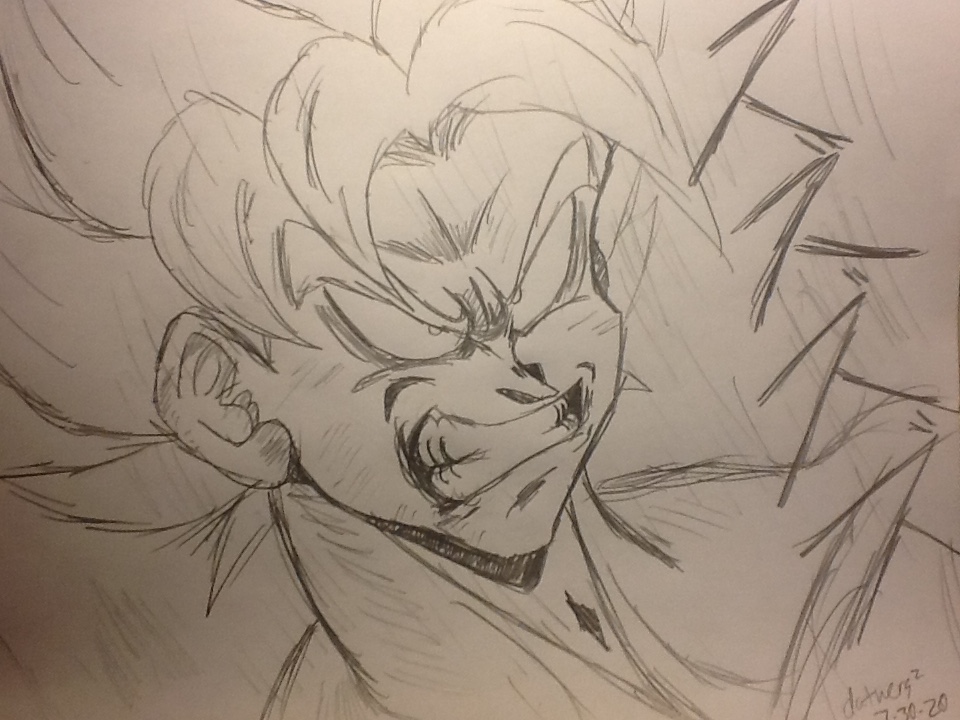 Ultra Instinct Goku Sketch by TheD138 on DeviantArt