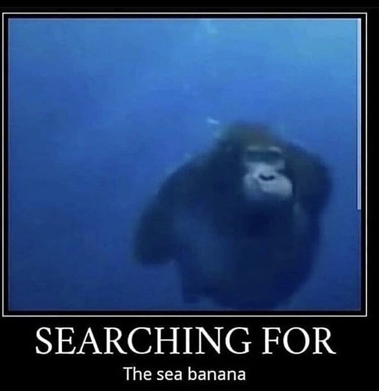 ANTHONY JOSEPH DOLL tweet media