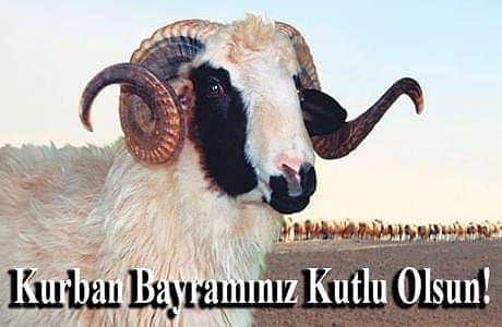 kurban bayramınız mübarek olsun