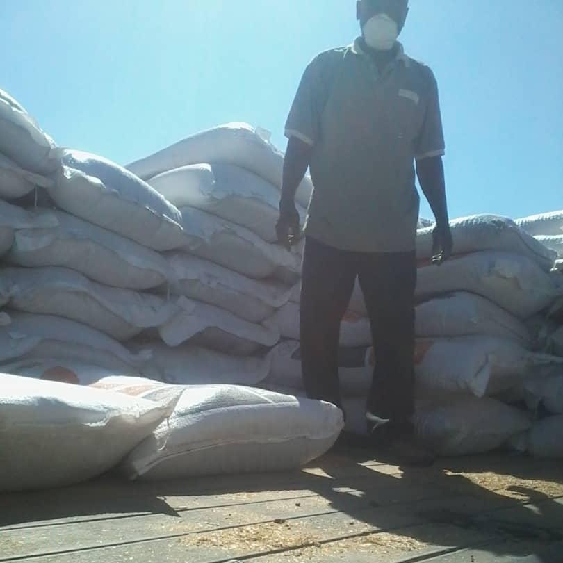 apt_zimbabwe's tweet photo. Scenes fm Nkayi where #MCMeats this week delivered 20t stockfeed in a #Cattle4Feed swop arrangement facilitated by #MELANA_Markets. Farmers will nw feed animals back home. Sustainable private sector led develoment! @UKinZimbabwe @euinzim @SwedeninZW @ZRBFZIM @WHHZimbabwe https://t.co/vr255ofA9M