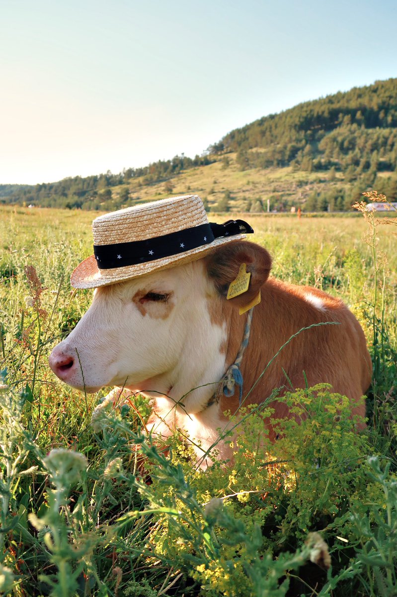 Iyi bayramlar mutlu bayramlar #KurbanBayramı