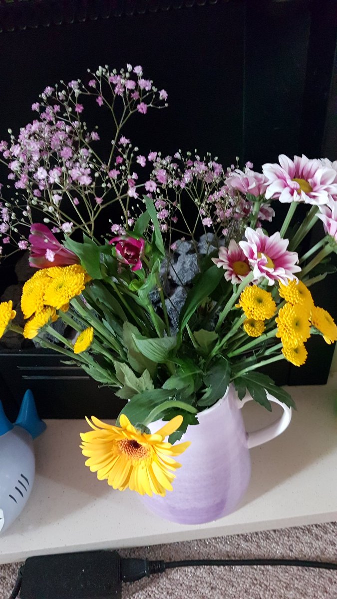 lyn reeder tweet media