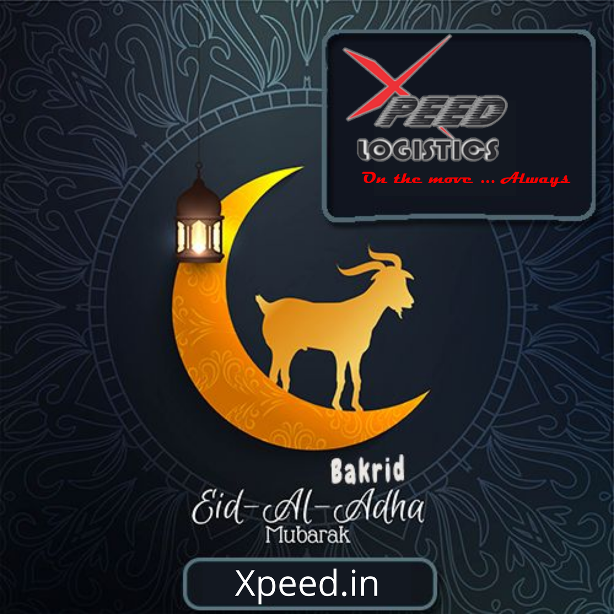 Xpeed Logistics tweet media