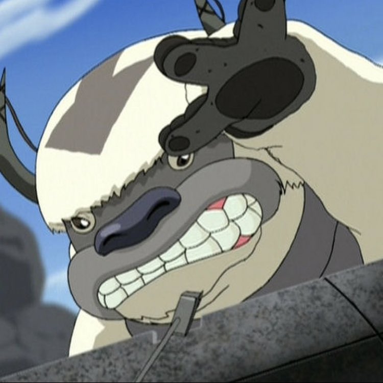 appa is a straight savage he really said YEET