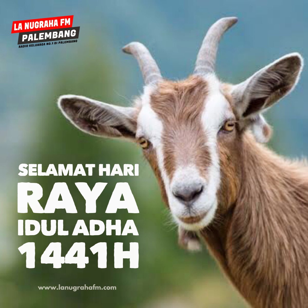 Selamat Hari Raya Idul Adha 1441H