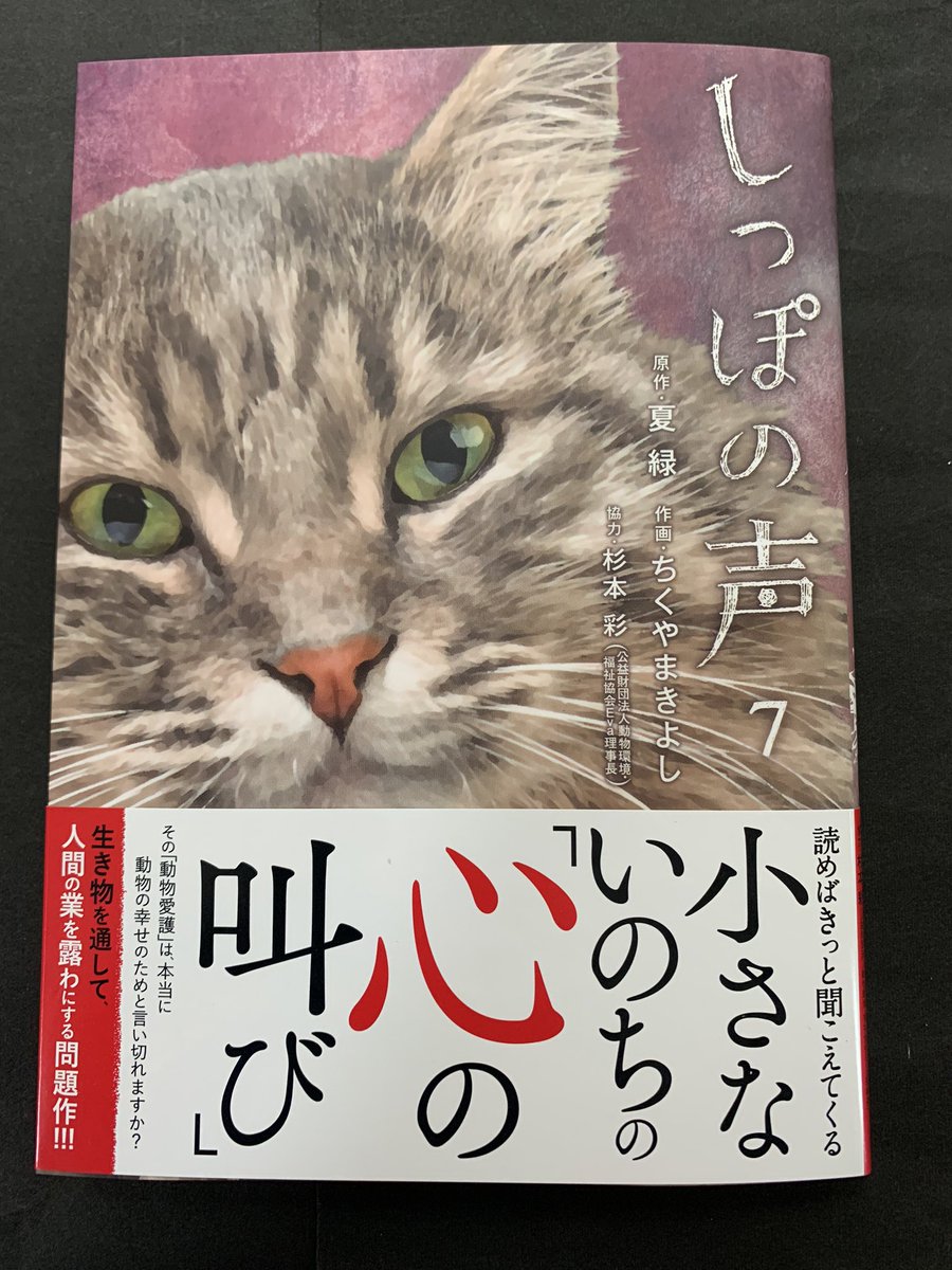 ちくやまきよし