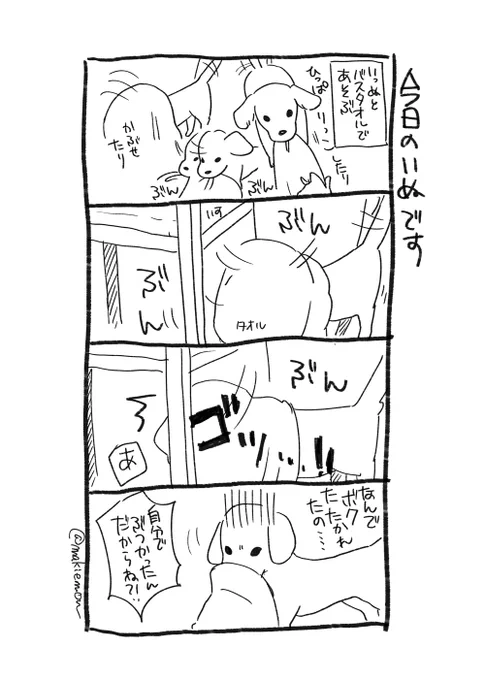 今日のいぬです 