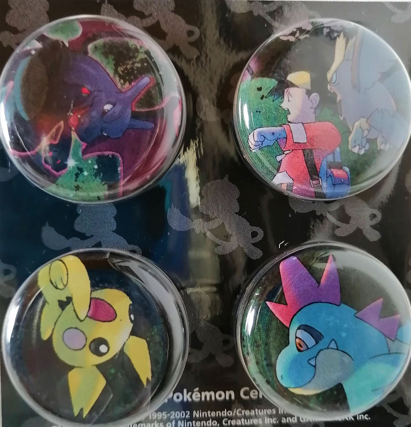 光るポケモンとの遭遇 Twitter Search Twitter