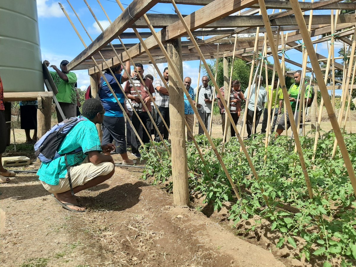 mua_mani's tweet photo. Farmer knowledge exchange on protected cropping systems featuring All Season Nursery, Organic Farmer Kulukulu, and Sigatoka Research Station Team (MoA) in collaboration with SPC under the ACIAR funded project (HORT: 2014/080)# SRS#Fiji https://t.co/64VXQ1gMji
