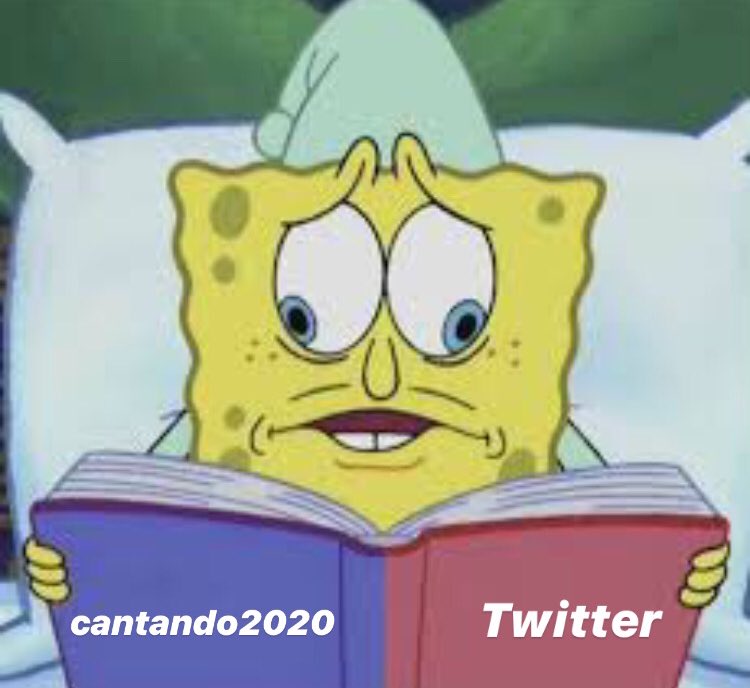 clona_ari's tweet photo. Mi mood con la pelea de Karina y Ángela Leiva #Cantando2020 https://t.co/J5sp9rNfI4