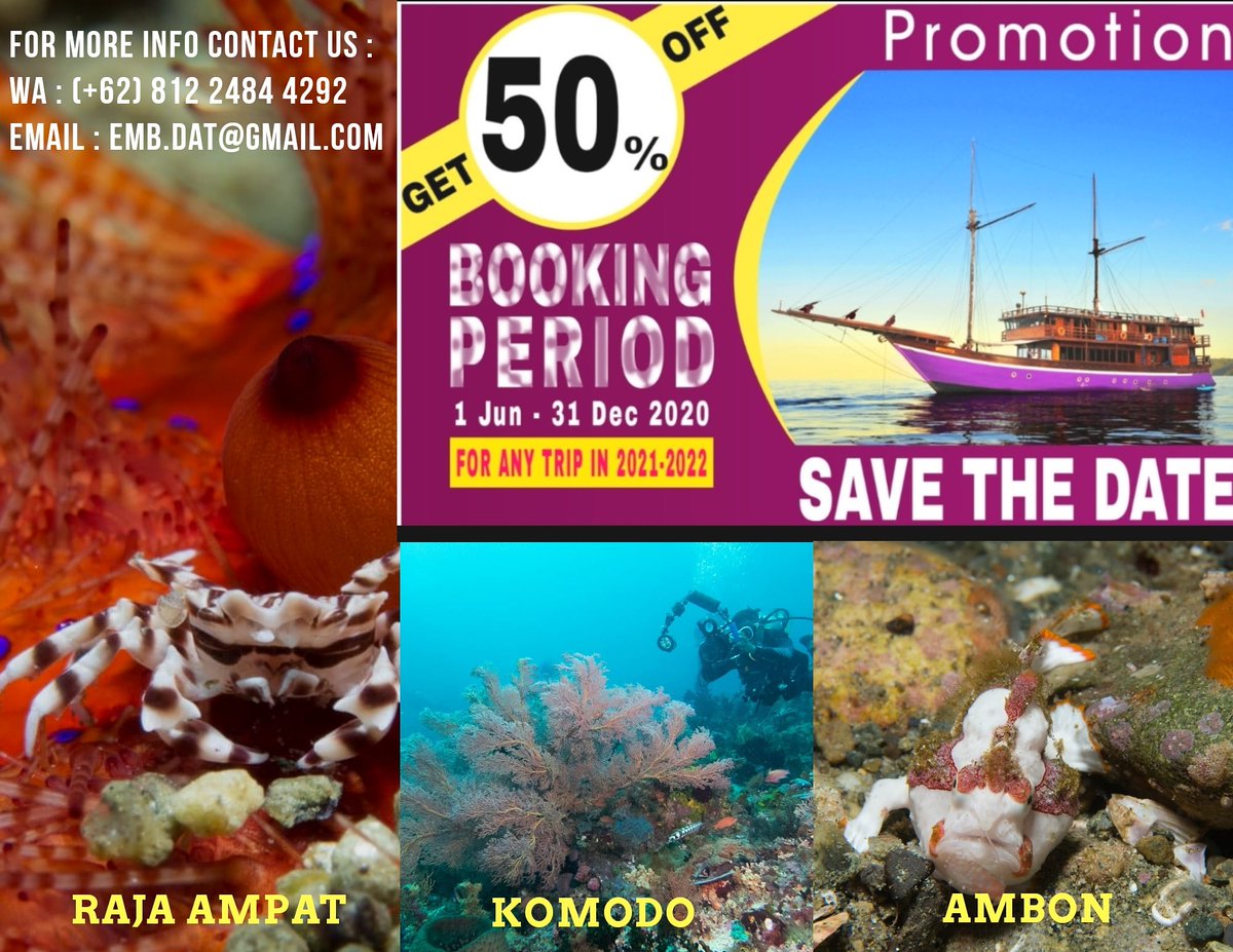 eatmybubbles20's tweet photo. Book now, dive later!
When everybody try to book their favourite destination, but you have your own by book it now! Available for any trip in 2021 - 2022.

#diver #diving #scubadiving  #diveindustry #photography #underwater #komodo #alor #ambon #lembeh #rajaampat #divetravel https://t.co/kdozmUZ653