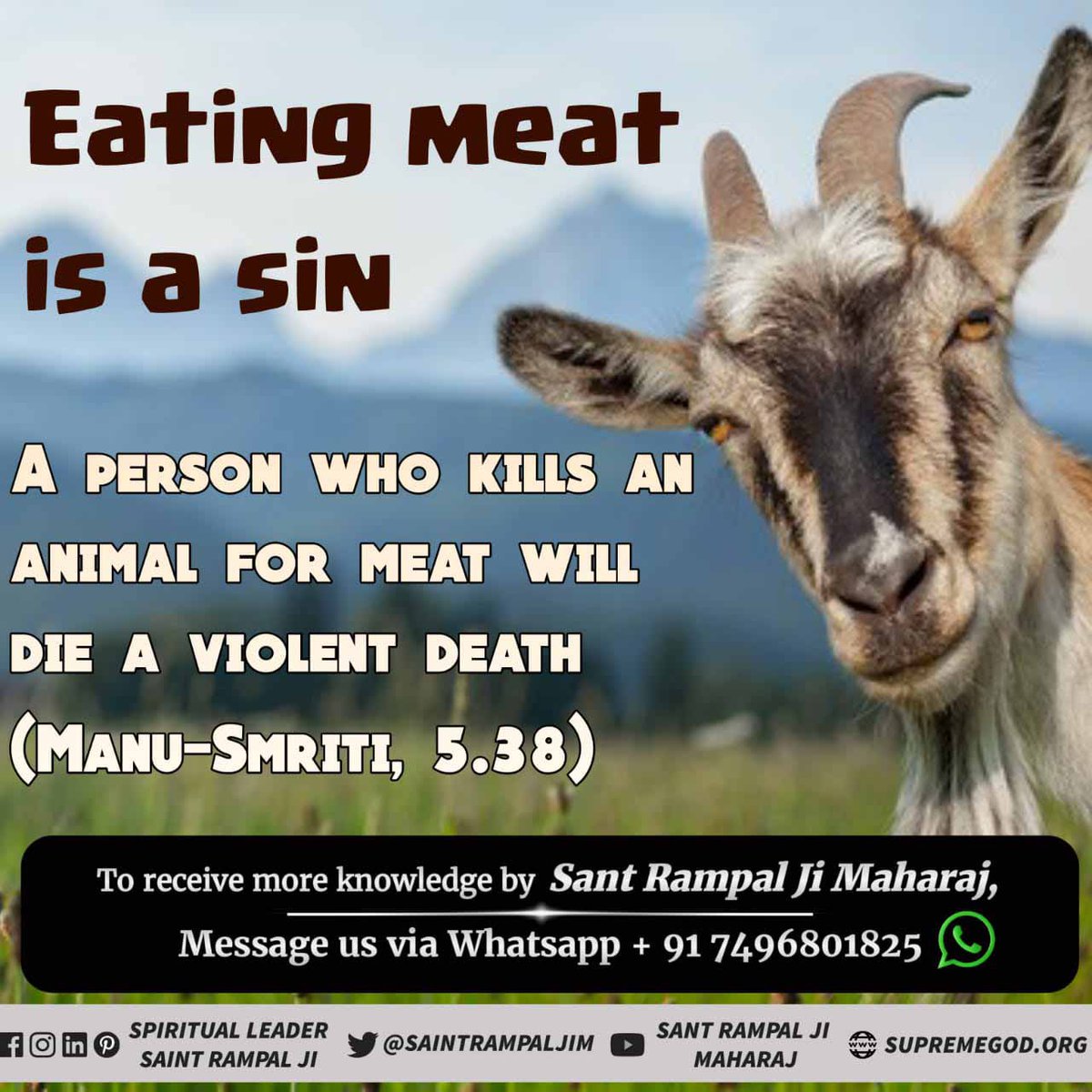 unirmalkar_008's tweet photo. #रब_की_रूह_न_मार
God Kabir said to Qazi and Mullah 
if you kill a CHICKEN , BAKRA then it is a great sin. Heaven will not be found, you will go to hell.
For more information
Visit :- Satlok Ashram Youtube Channel https://t.co/Az3PYOD3xs