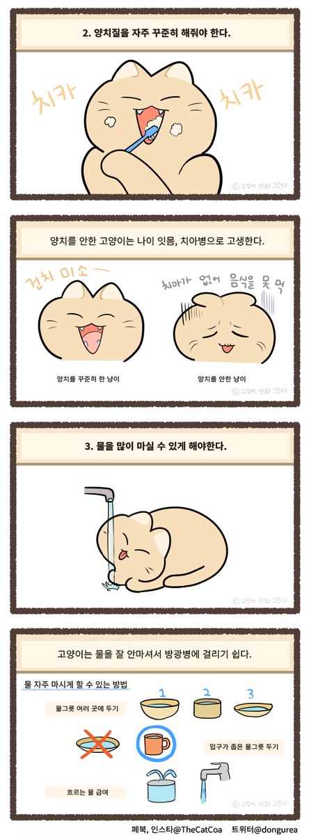고양이 집사라면 알아야 할 고양이 지식1 