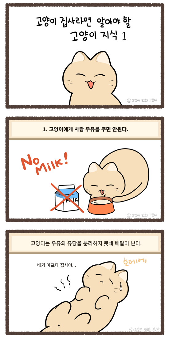 고양이 집사라면 알아야 할 고양이 지식1 
