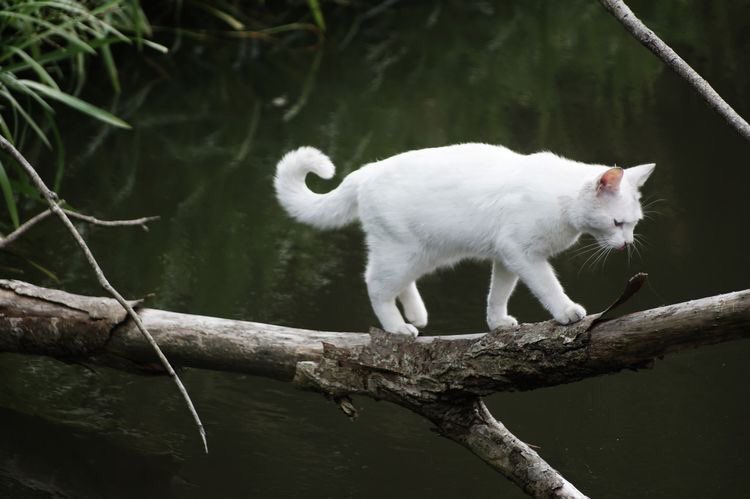 FUN REFERENCE IMAGES,, A THREAD 