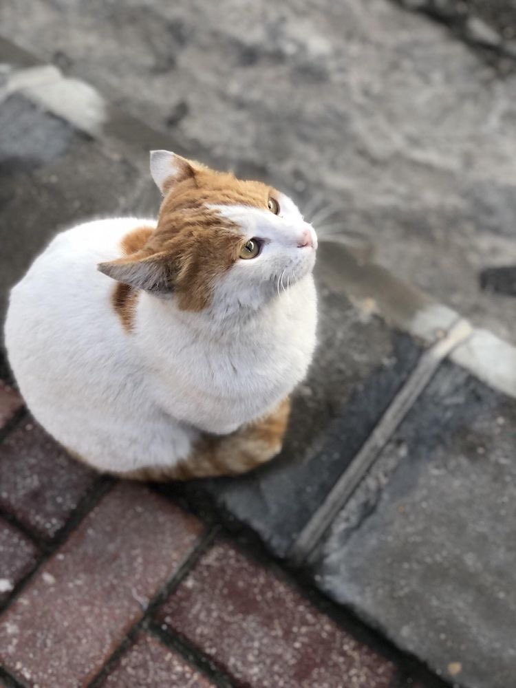 FUN REFERENCE IMAGES,, A THREAD 