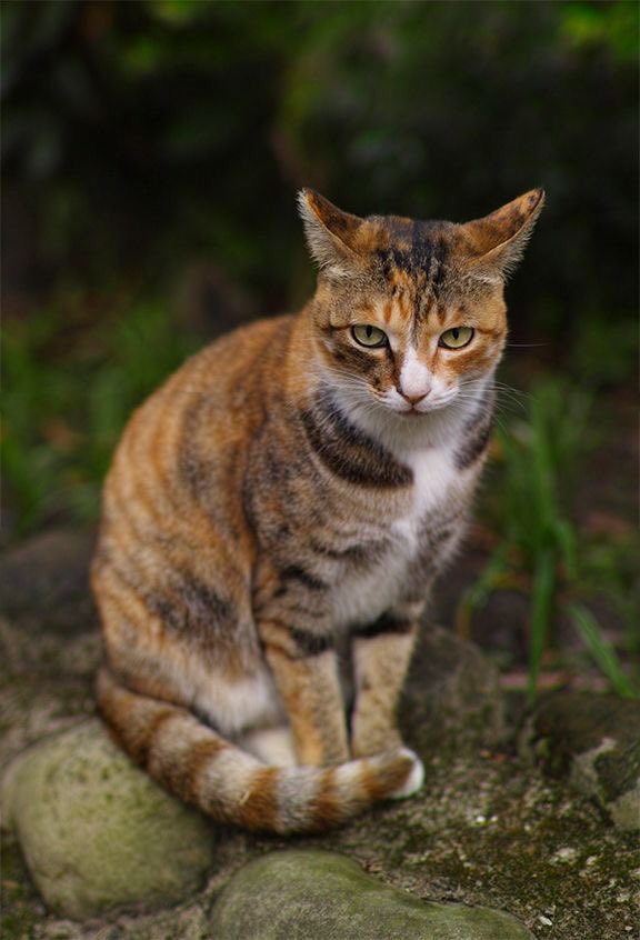 FUN REFERENCE IMAGES,, A THREAD 