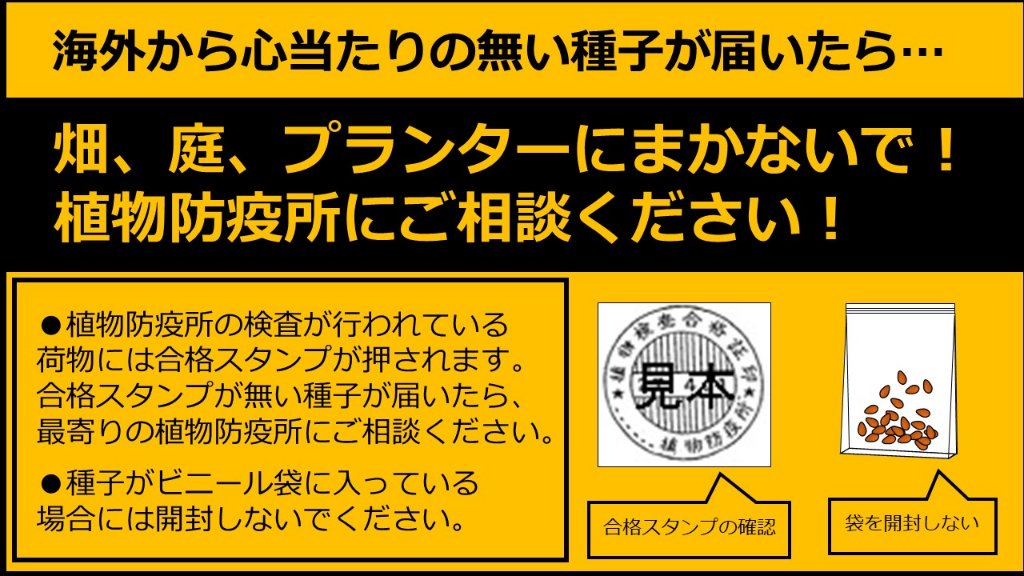 ソース画像を表示