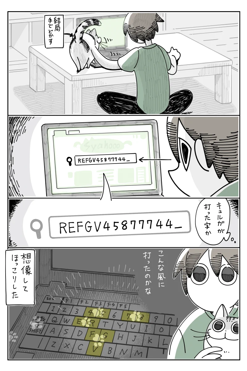 キーボードの上に乗る猫だけど？キーボードを打つ様子を想像して思わずほっこり！