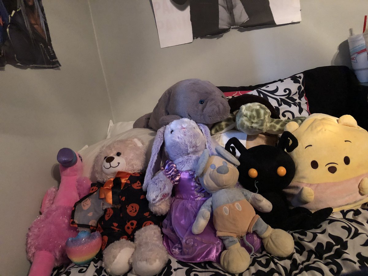 rating my stuffed animals