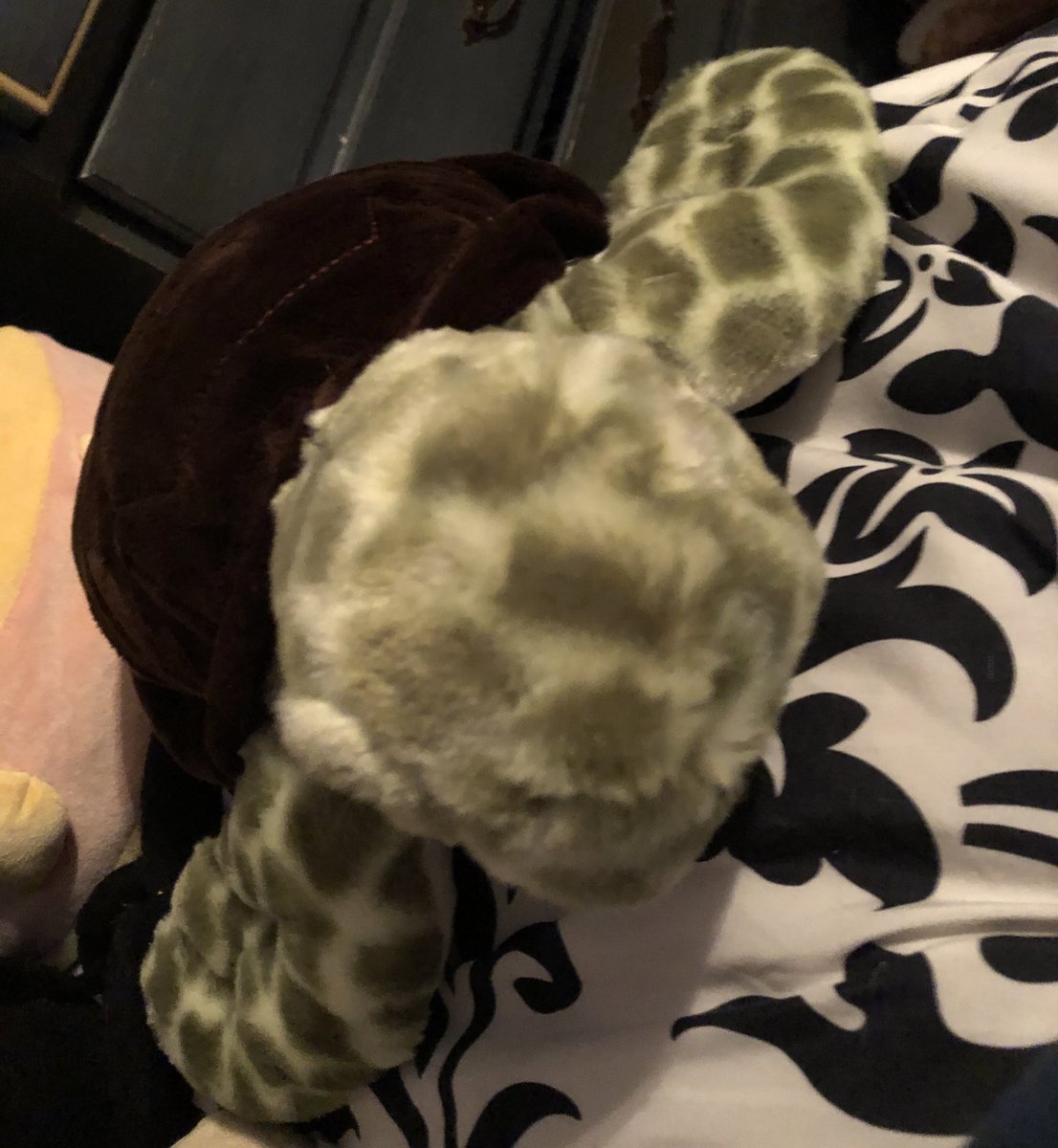 ferguson: 10/10my newest one that i got today, very squishy and soft