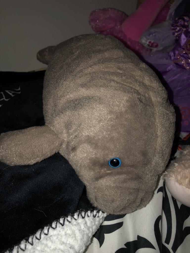marvin: 10000/10my favorite stuffed animal. very sentimental to me bc i got him in disney when i went for my 16th birthday. i cuddle with him almost every night