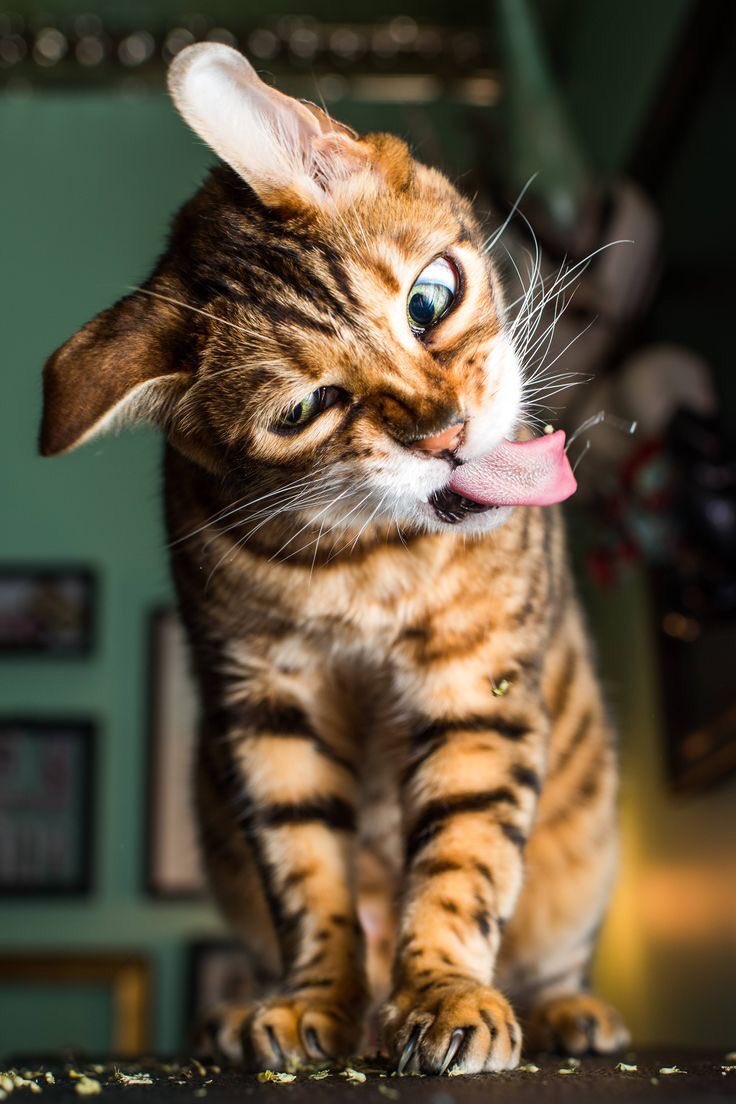 FUN REFERENCE IMAGES,, A THREAD 